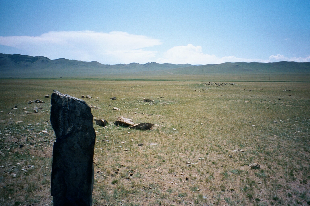 De steppe in Mongolië